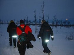 Heading out to the tundra