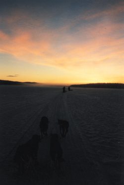 During 'polar light', the sun never rises...
