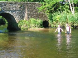 Day 9 - River Fowey