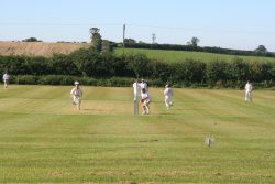 Woolfy at full tilt - very, very fast