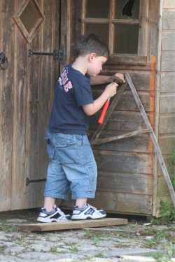 Archie nails his ownership to the shed