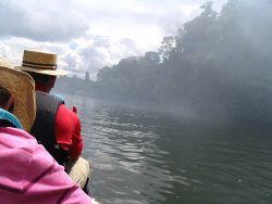 Up the Amazon