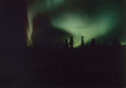 A very special treat: the Northern Lights on the way back