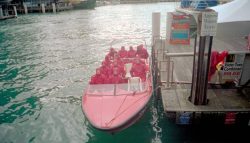 The Red Army make an unopposed amphibious landing in Sydney Harbour