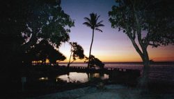 Drying-Out Clinic - Heron Island, home for four days - wow