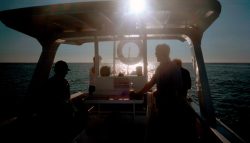 Waiting for the elusive Bronze Whaler to come on by - fishing with Jonathan and skipper Debs