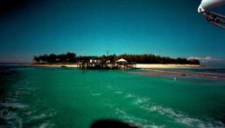Drying-Out Clinic - Heron Island, home for four days - wow