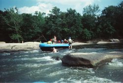 ...stuck on a rock... hilarious spectator sport
