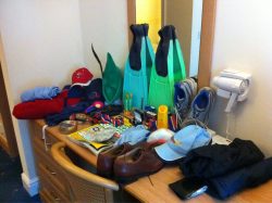 The Stag's Requirements... or forfeit