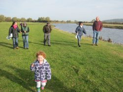 A brisk walk