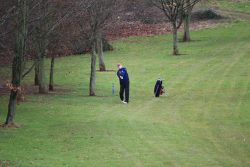 Joe: a rescue shot from the trees...