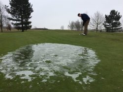 Ice on the greens