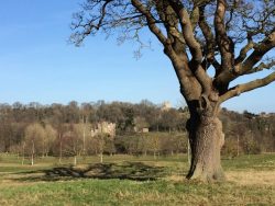 Looking back to Donnington Grove