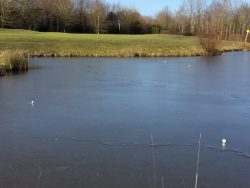 Yesterday's balls still sitting on the lake!