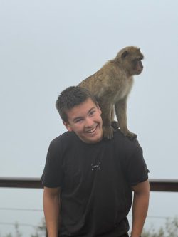 Two monkeys.